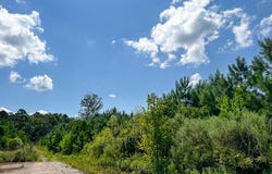 FM 1010, Cleveland, TX 77327