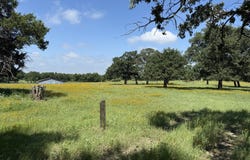 14 COUNTY ROAD 273, BREMOND, TX 76629