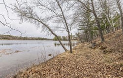 Birch Bay Lane NE, Outing, MN 56662