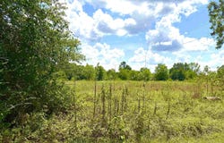 215 E Henderson St, Reklaw, TX 75784