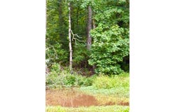 4246 County Road 4789, Timpson, TX 75975