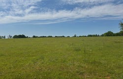 Valley Road, Lumpkin, GA 31815