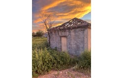 504 W Waco St, Marfa, TX 79843