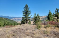 LONE RANCH RD, DANVILLE, WA 99121