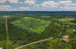10550 S Cedar Road, Cedar, MI 49621