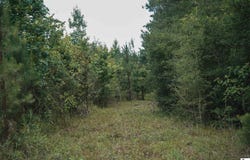 GARNER ROAD, Weston, LA 71251