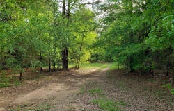 1070 Piney Grove, Rusk, TX 75785