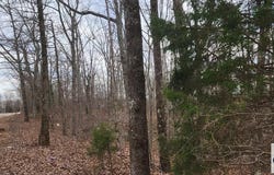 Birdsong Rd, HOLLADAY, TN 38341