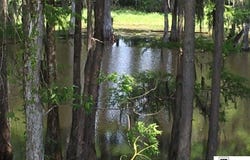 9206 DESIARD TRACE lot: 48, Sterlington, LA 71280