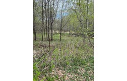 Maple Street N, Royalton, MN 56373