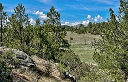 7080 Copper Gulch Rd, Cotopaxi, CO 81223