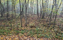 Chandas Way, Laurens, NY 13796
