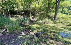 79 Acres, Byers Rd, Boscobel, WI 53805