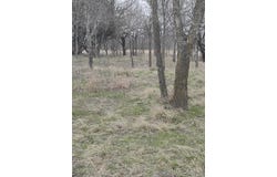 138 PR 226 Road, Whitney, TX 76692