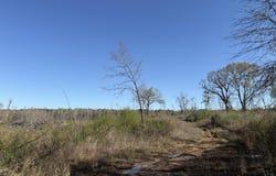 385 Vanarsdale Road, Pickens, MS 39146