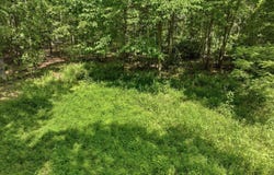 Barn Hollow Drive, Mountain View, MO 65548
