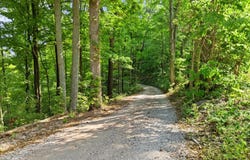W McCarthy Knob Road, Lanesville, IN 47136