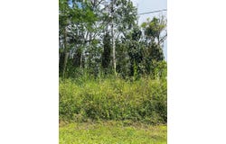 NIIHAU RD, Pahoa, HI 96778