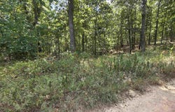 L8 B17 Hitching Post Road, Ozark Acres, AR 72482