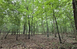 Golf Course Road, Marshfield, MO 65706