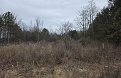 L27-1 Jensis Rd, Castleton, NY 12033