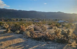 Nicolson, 29 Palms, CA 92277