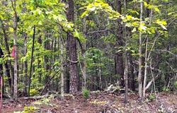 Old Tower Hill Rd, Dillwyn, VA 23936