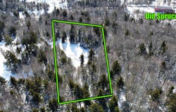 Silver Creek Parkway, Snowshoe, WV 26209