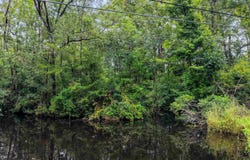 Meggett Dr., Georgetown, SC 29440