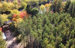 7449 WOLF RD, Rhinelander, WI 54539