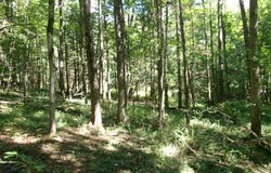 478 Dunham Road, Smyrna, NY 13464