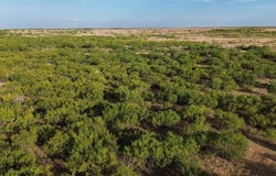CR 218, Seymour, TX 76380