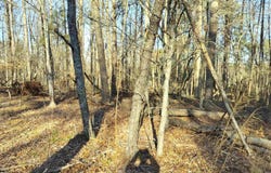 343 Beech Drive, Westminster, SC 29693