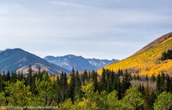 27 & 33 Fall Creek, Aspen, CO 81611