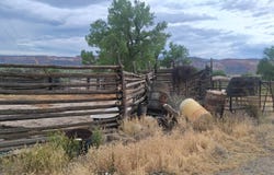1983 River Road, Fruita, CO 81521