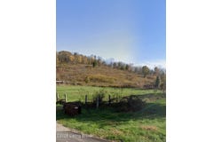1175 Joyce Mill Rd, Bedford, KY 40006