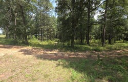 Grimes Road, Ozark, AL 36360