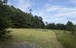 8.03 Highway 25E E, Bean Station, TN 37708