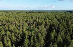 County Road GG, Augusta, WI 54722