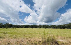 25 Rack Rd Tract 2, Picayune, MS 39466