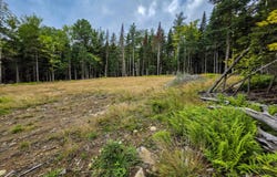 19 Uncas Road, Inlet, NY 13360