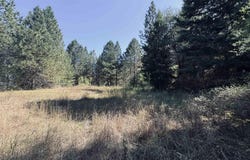 Dalton Acres Rd, Clearwater, ID 83552
