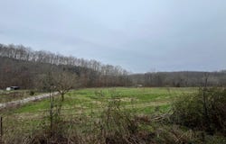 Walnut Grove Rd, Waynesboro, TN 38485