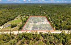 12251 SE 66 Place, MORRISTON, FL 32668