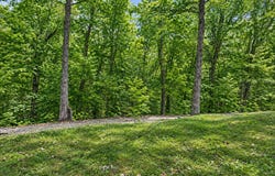 28 Bright Drive, Branson West, MO 65737
