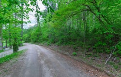 54 Crestline Drive, Franklin, NC 28734