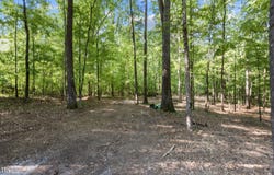 Helena Moriah Road lot: 2, Timberlake, NC 27583