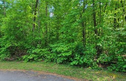 Lynden Loop, Westminster, SC 29693