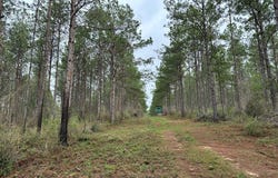 FM 1005, Jasper, TX 75951