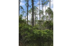 1073 Sr 65, Eastpoint, FL 32328